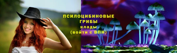 каннабис Арсеньев
