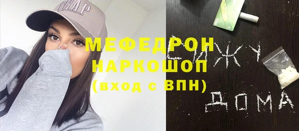 индика Алексин